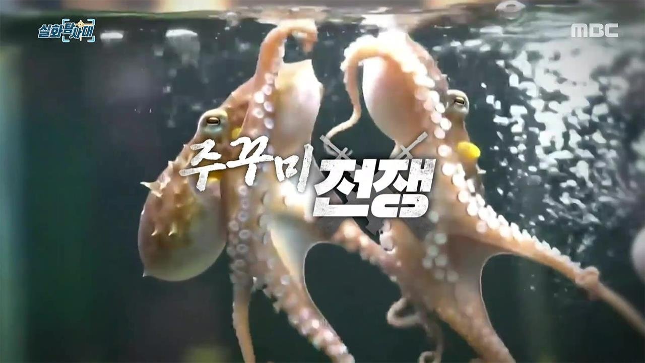 실화탐사대 - Season 1 Episode 333 : Episode 333