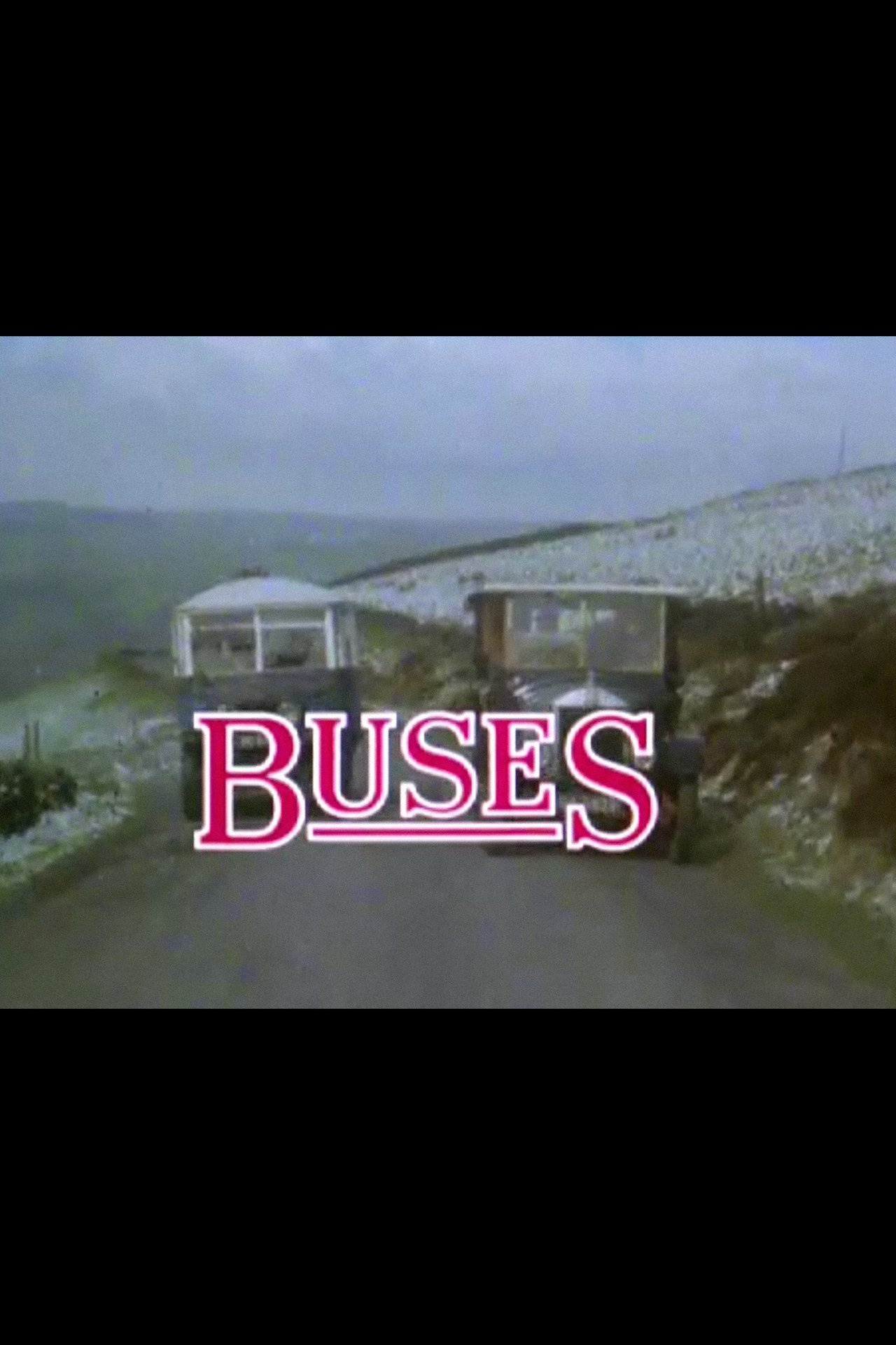 Buses Buses