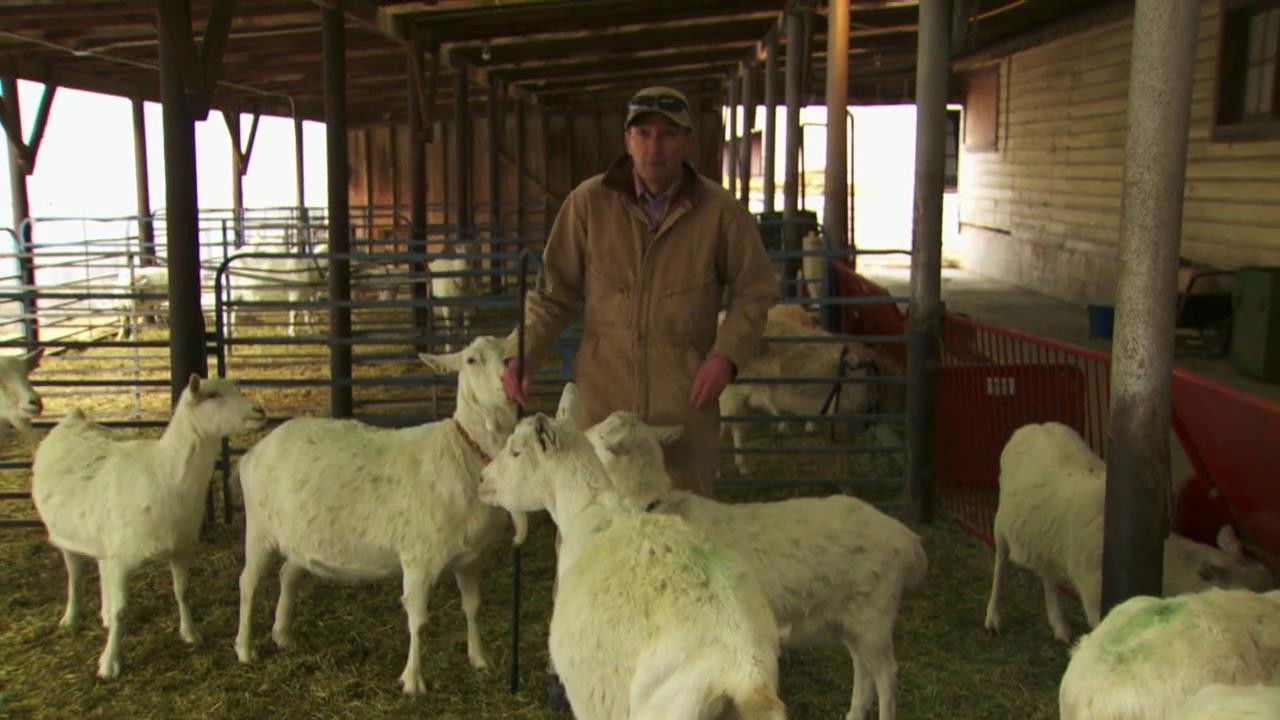 World's Weirdest — Épisode 7