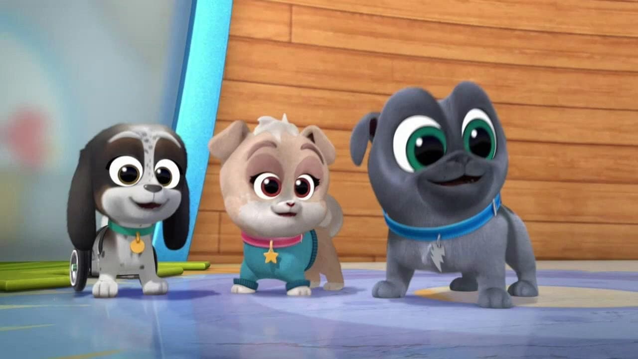 Puppy Dog Pals - Season 3 Episode 1 : Welcome to Puppy Playcare!