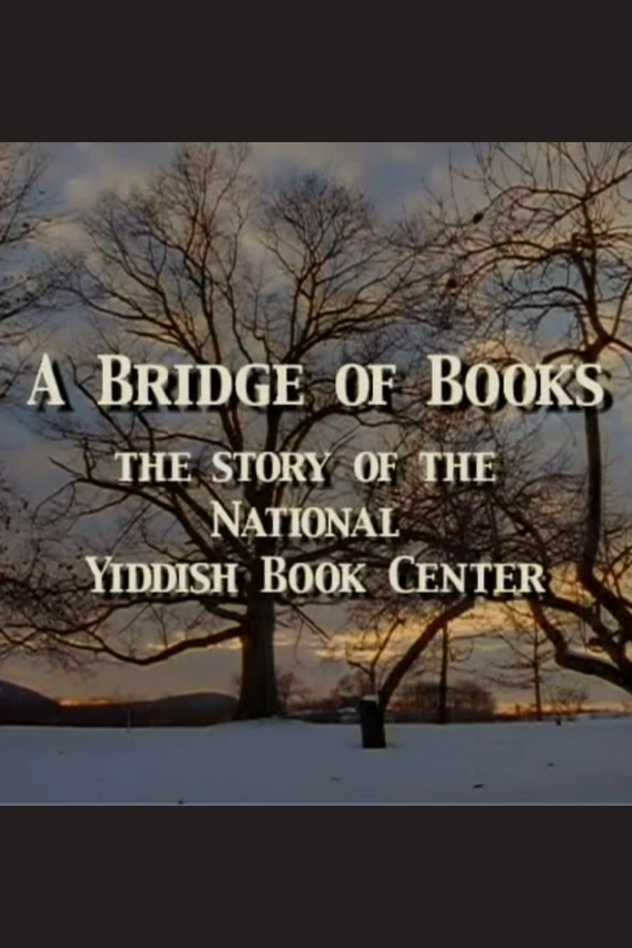 A Bridge of Books filmaffisch