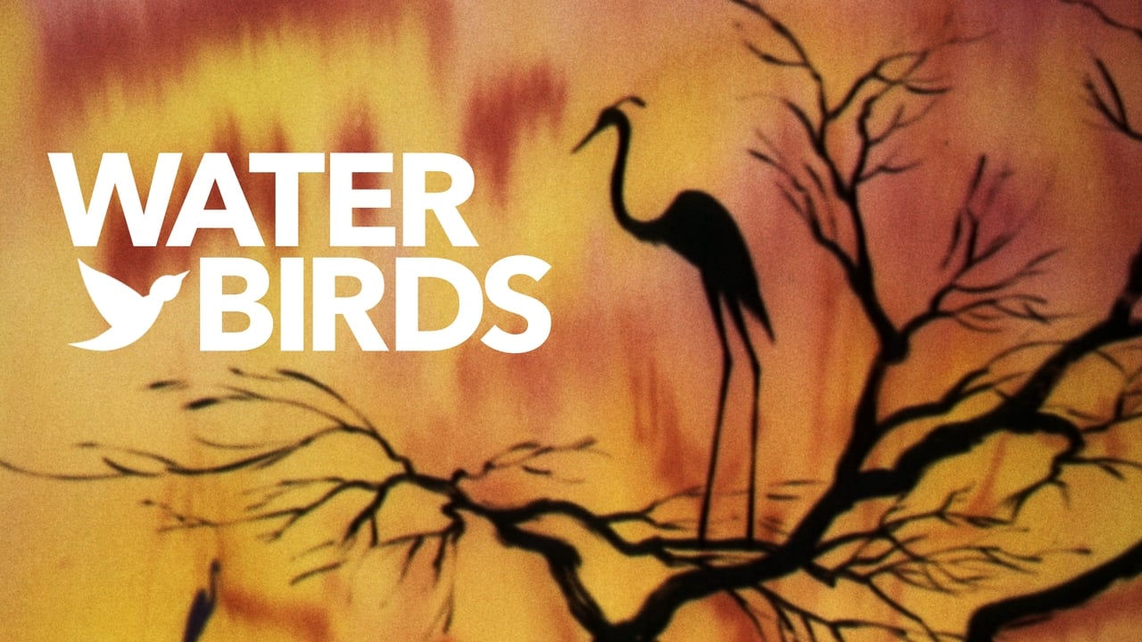 Water Birds background