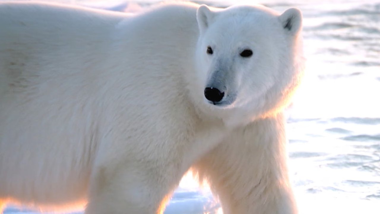 Earth Odyssey with Dylan Dreyer - Season 7 Episode 6 : First in Class