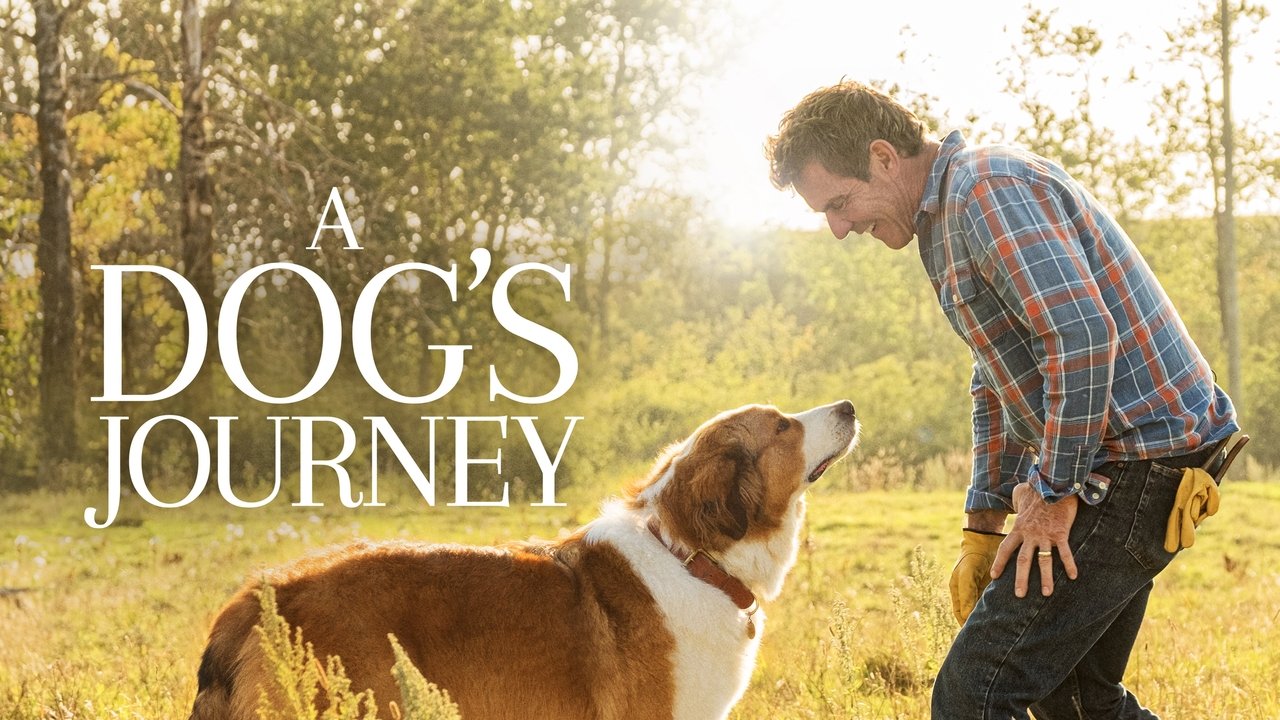 A Dog's Journey background