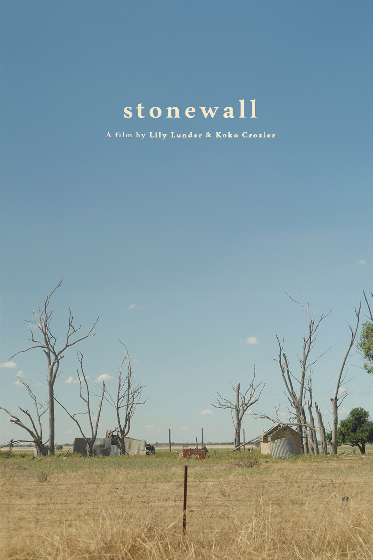 stonewall filmaffisch