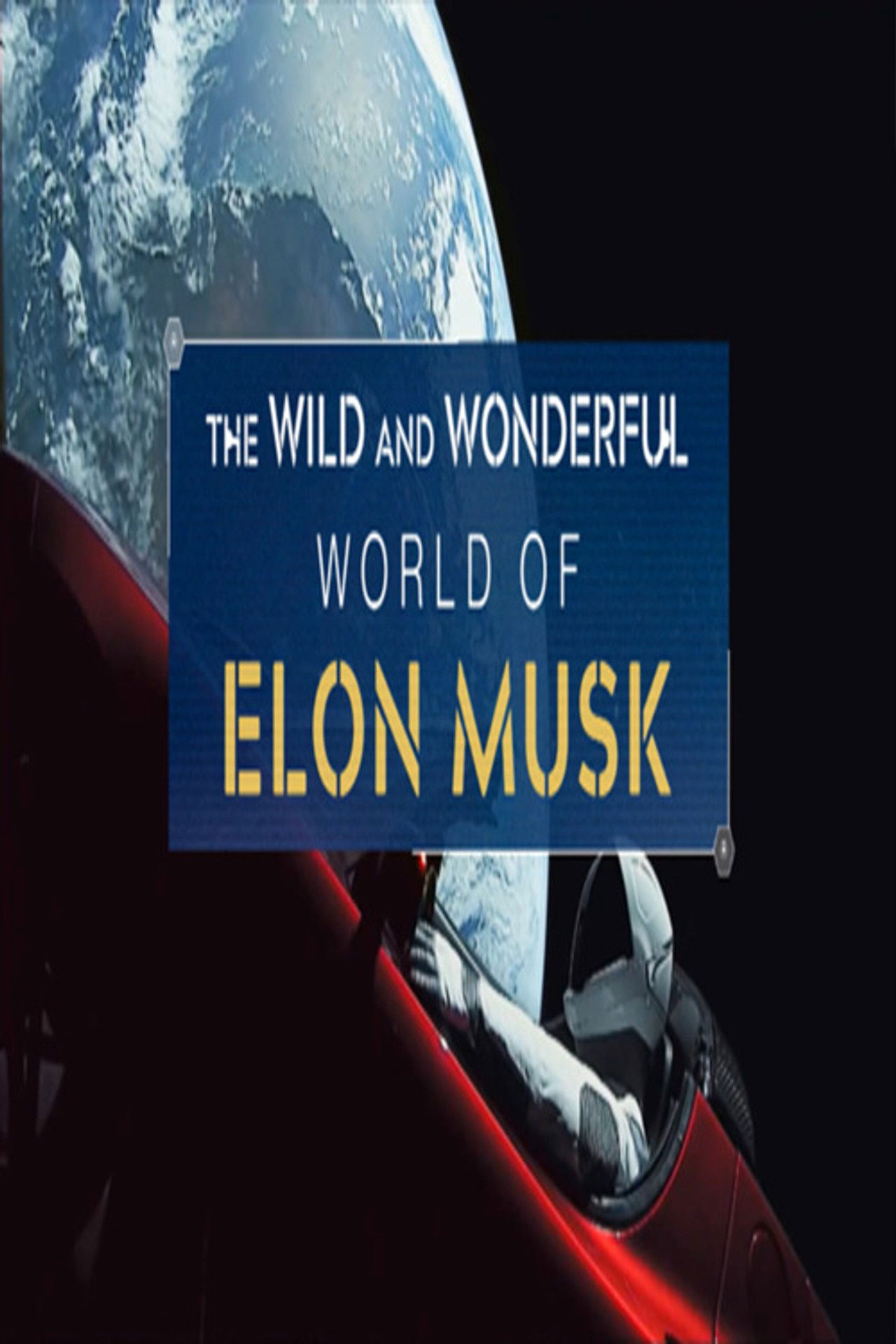 The Wild and Wonderful World of Elon Musk Backdrop