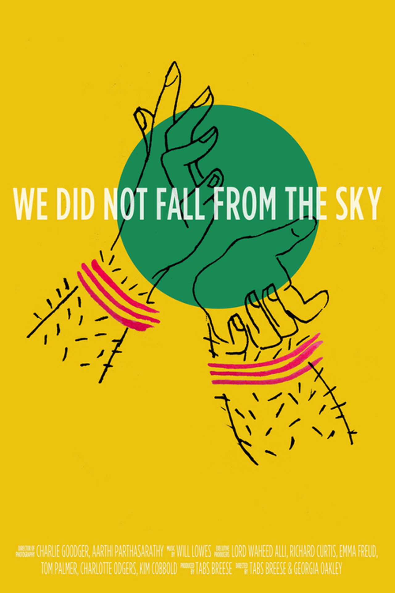 We Did Not Fall from the Sky filmaffisch