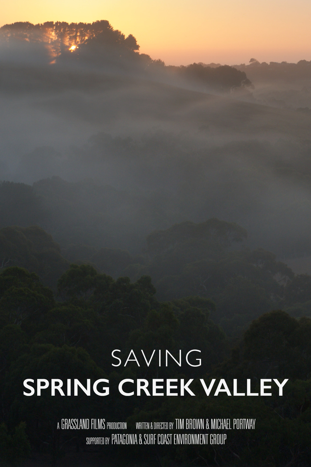 Saving Spring Creek Valley poster