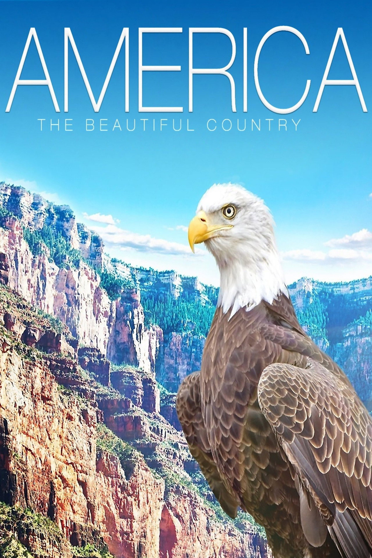 America: The Beautiful Country (2013)