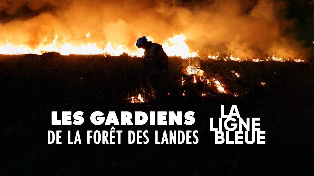 La Ligne Bleue — Les gardiens de la forêt des Landes