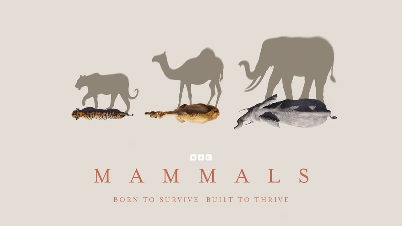 Mammals - Season 1 Episode 3