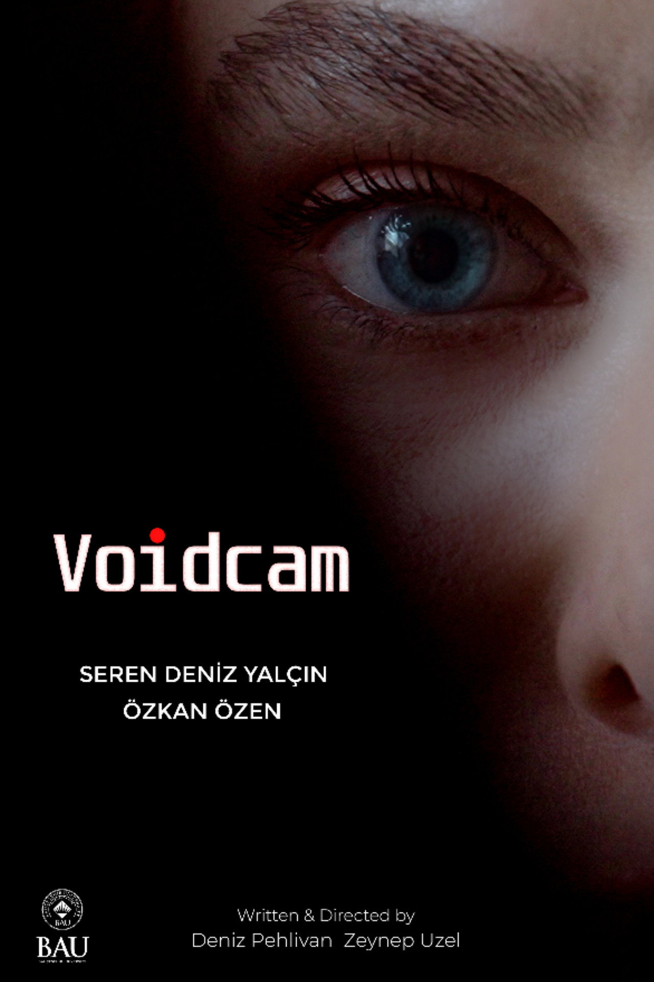 Voidcam