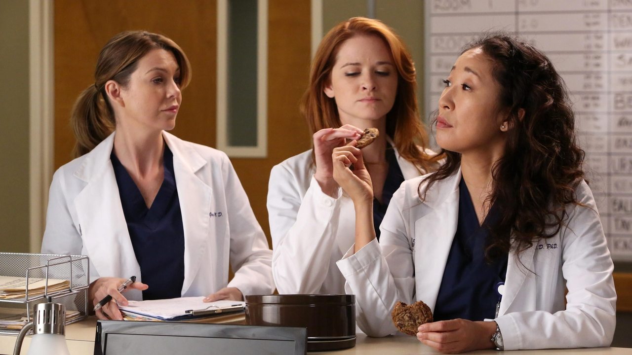 Grey's Anatomy - Season 9 Episode 11 : The End is the Beginning is the End