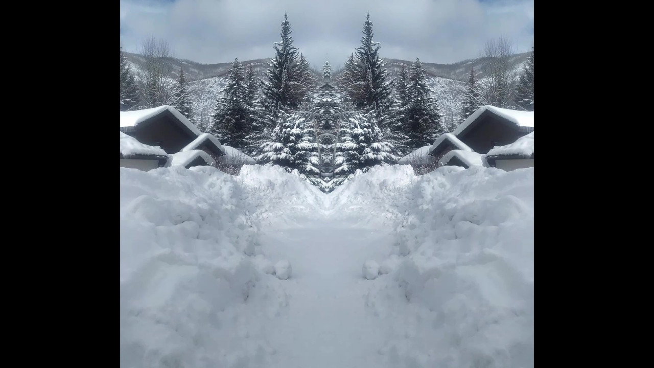 Fondo