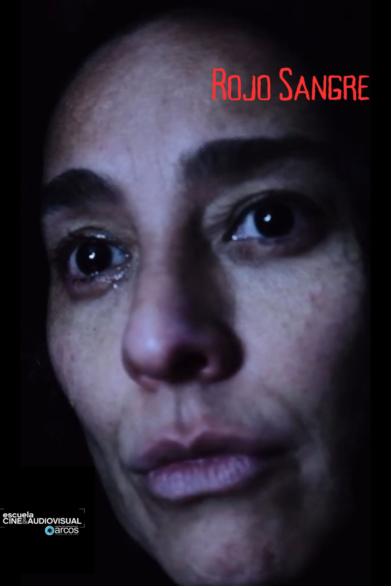 Rojo Sangre filmaffisch