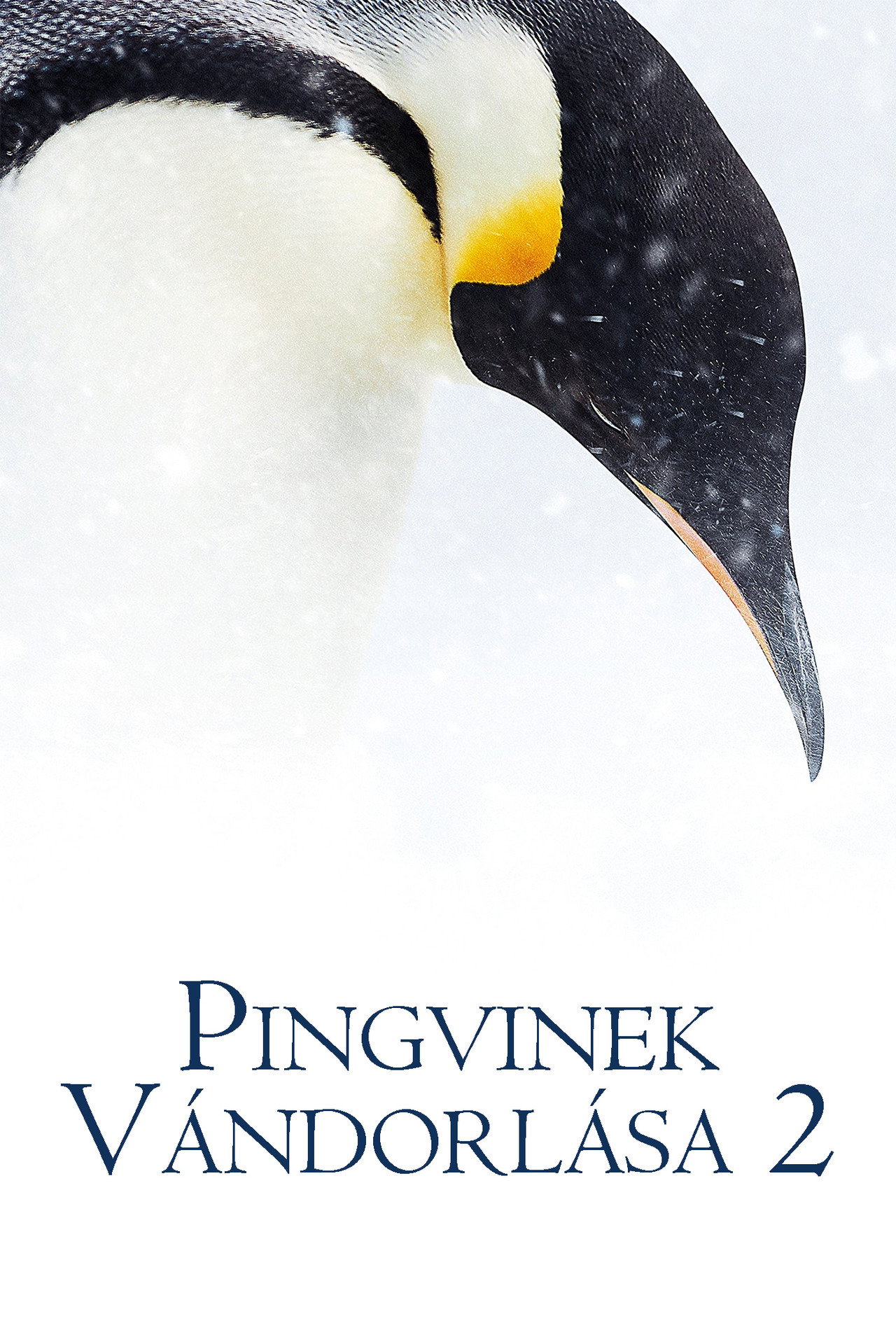 Pingvinek vándorlása 2. – plakát 6