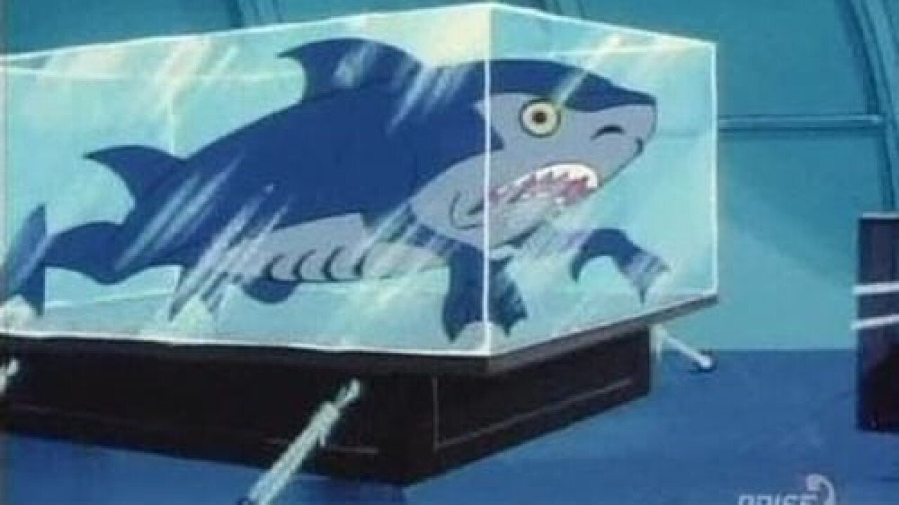 O Scooby-Doo e Bionicão Show backdrop