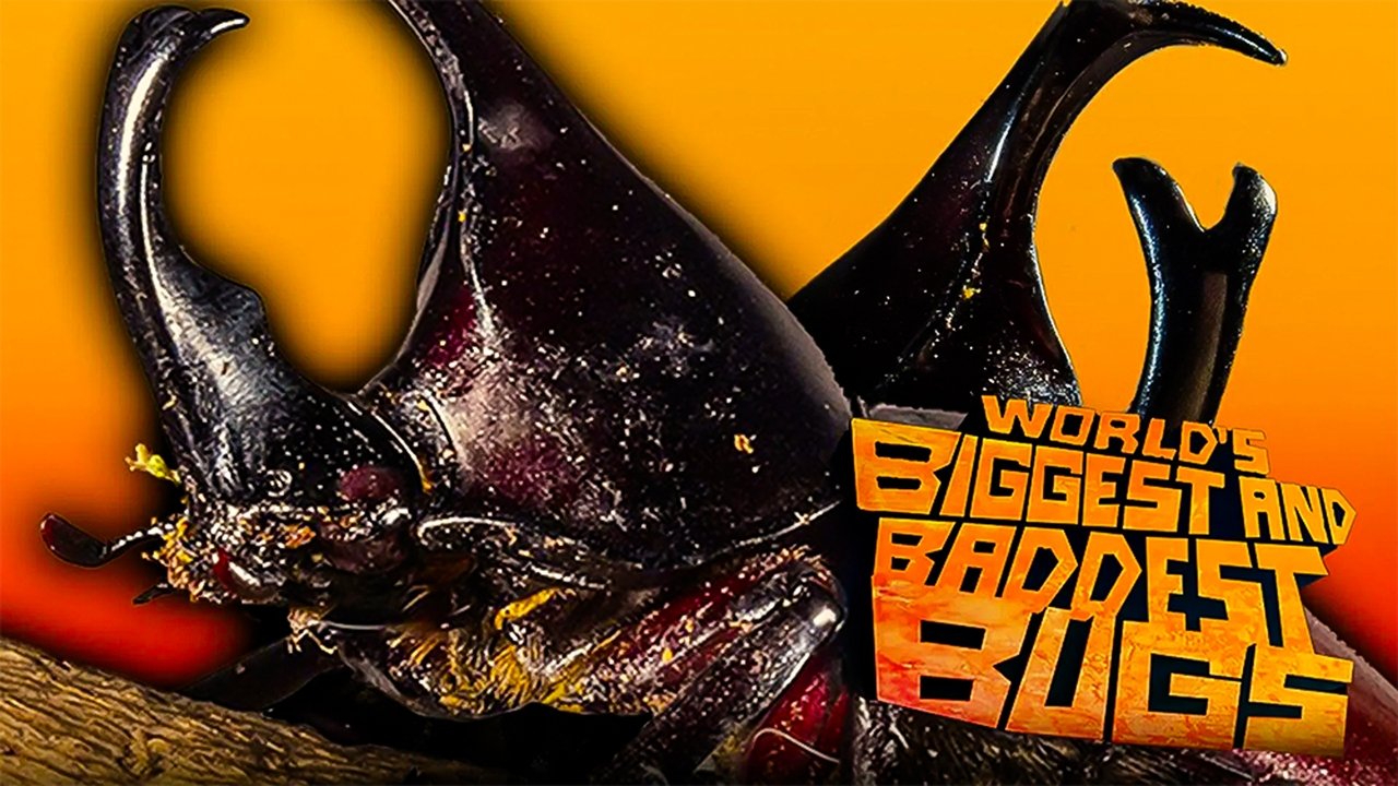 The World's Biggest and Baddest Bugs