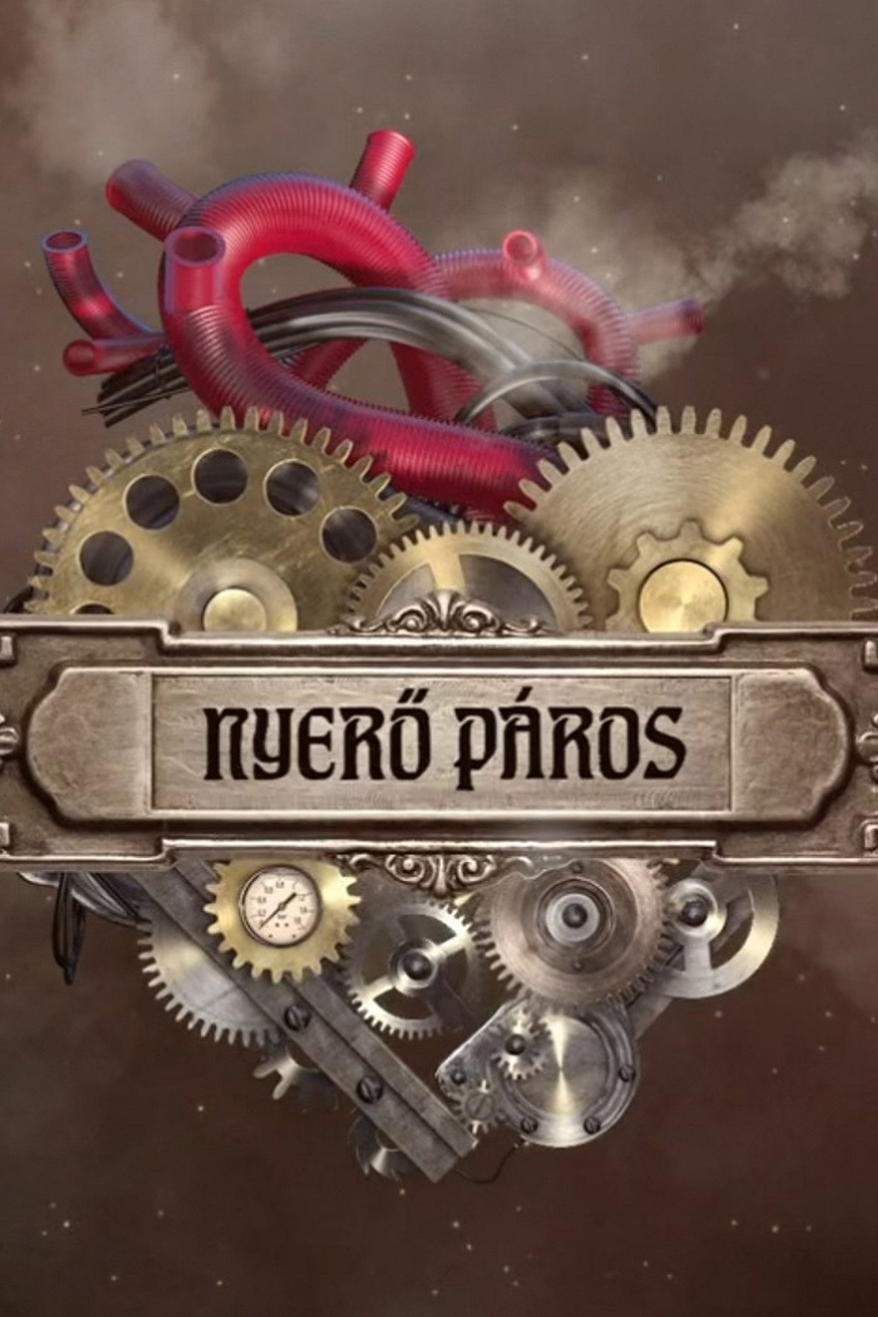 Nyerő Páros – plakát 6