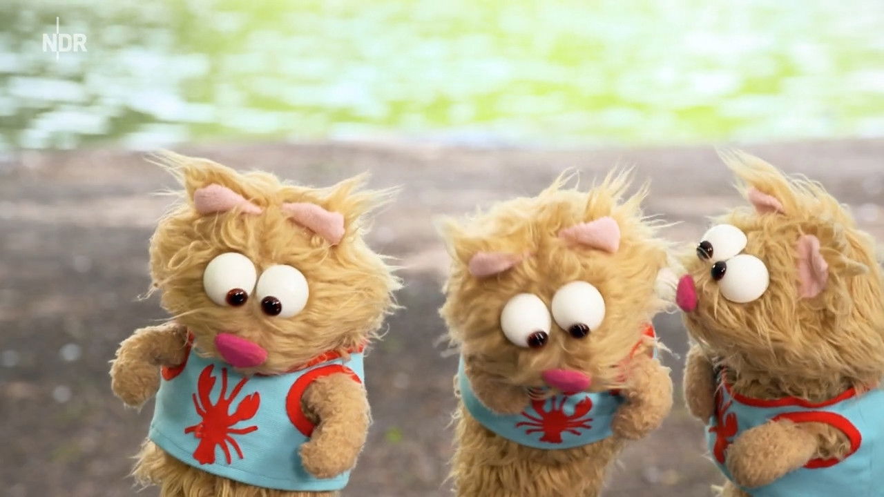 Ein Fall für die Erdmännchen - Season 6 Episode 6 : Episode 6