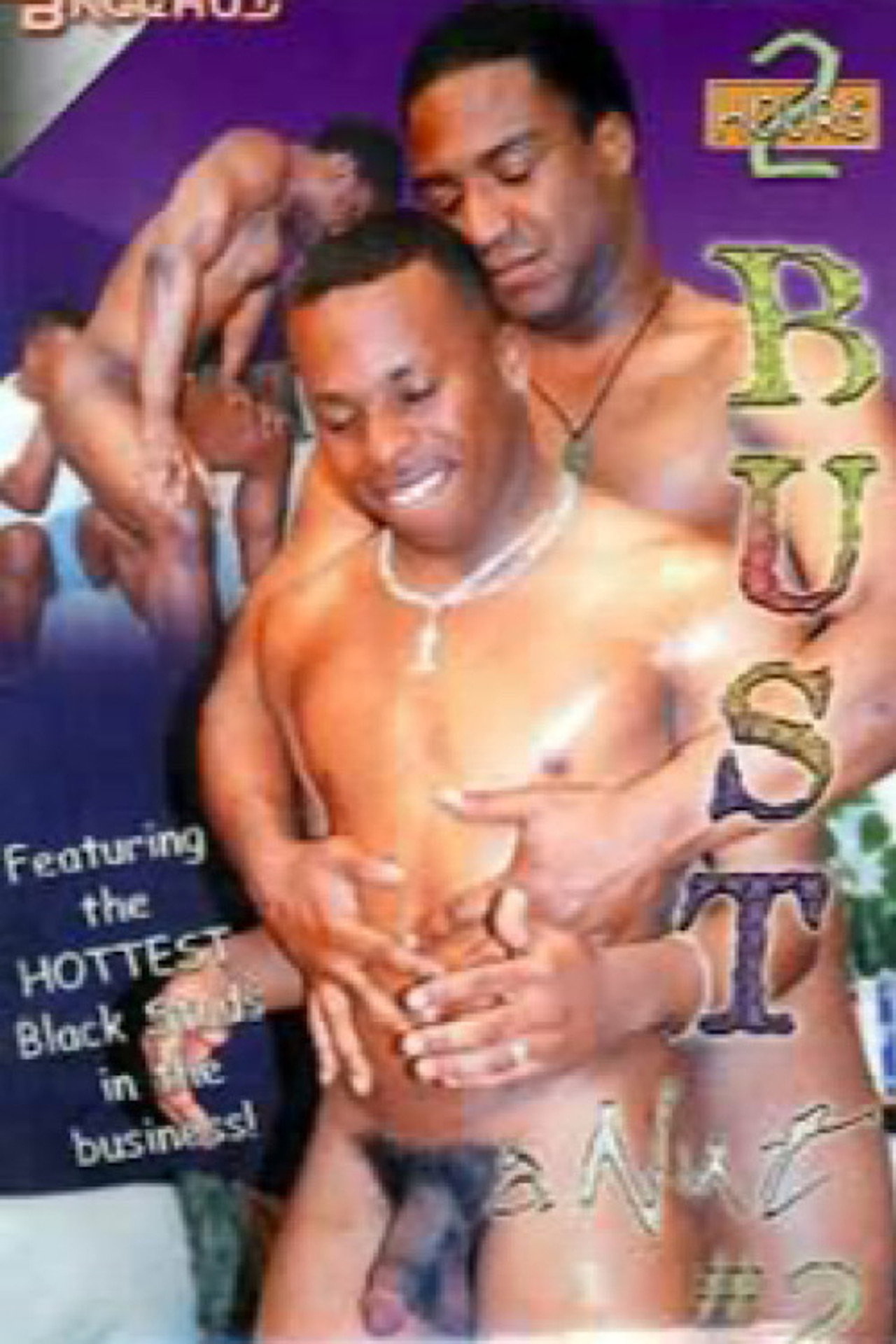 Bust a Nut 2 filmaffisch