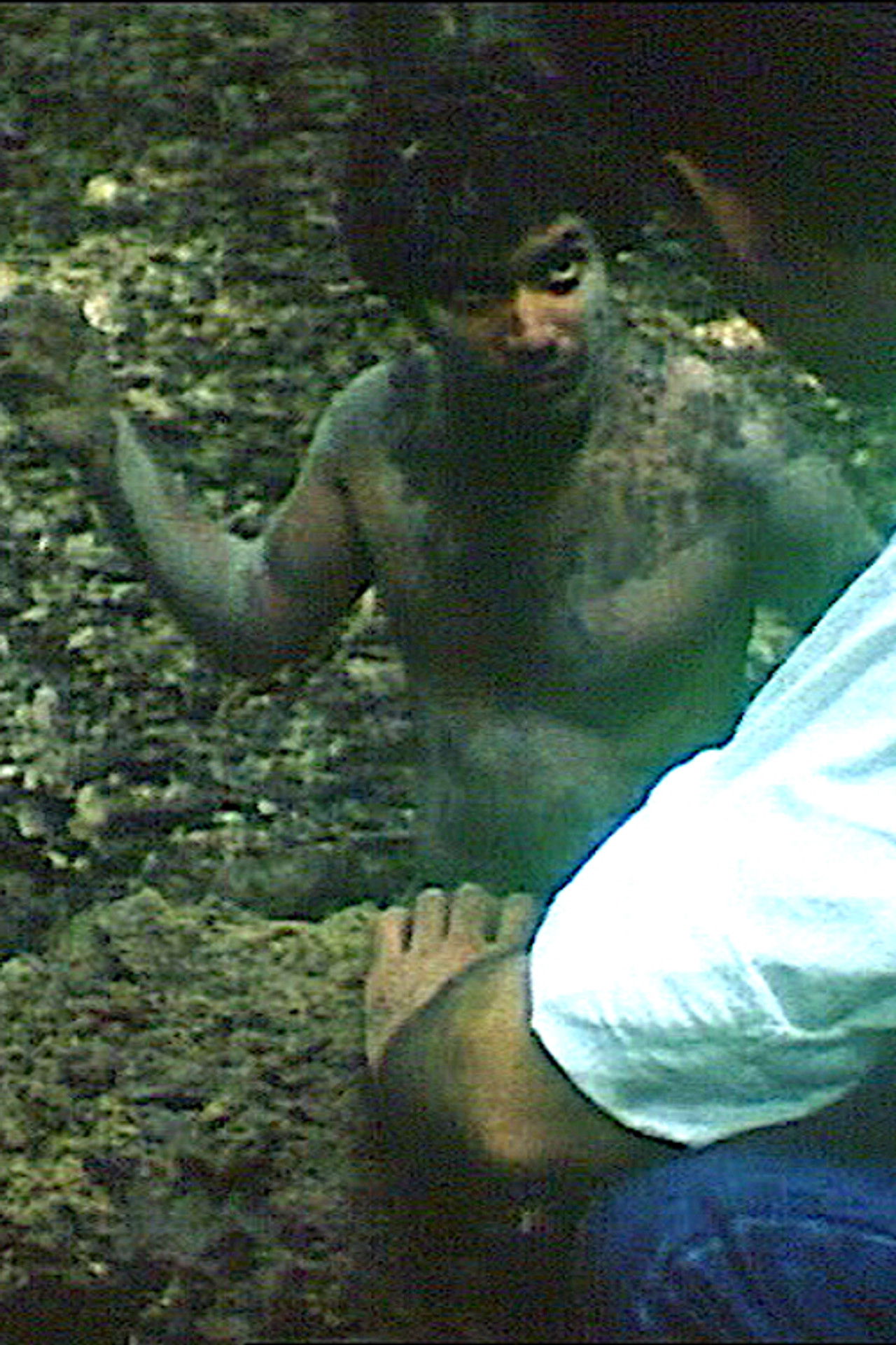 Concerto pour Aloual Backdrop