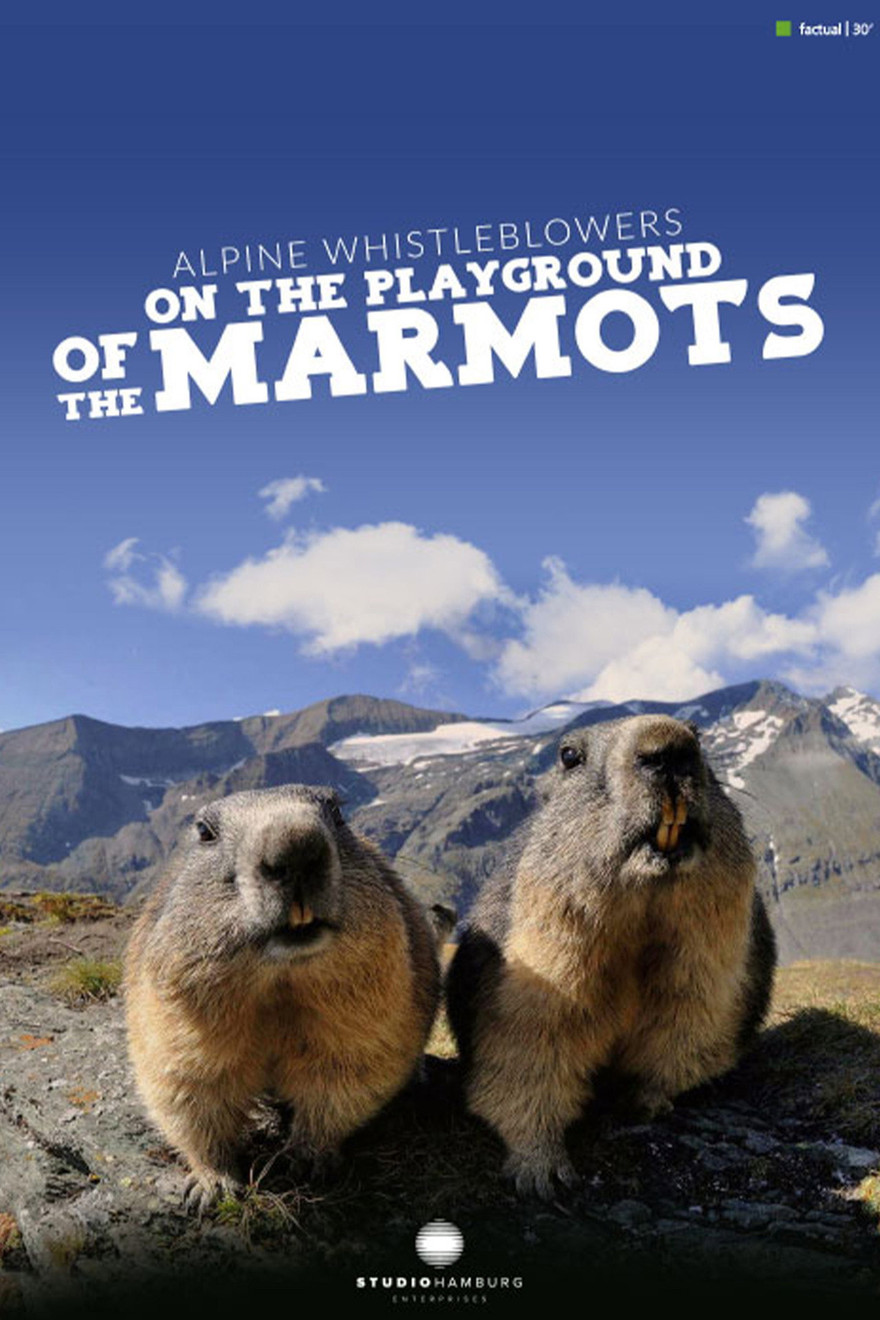 Alpine Whistleblowers - on the playground of the marmots filmaffisch