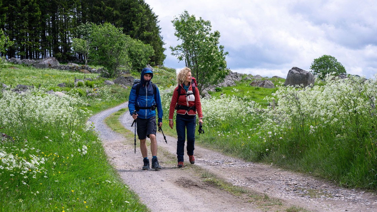 Compostelle backdrop
