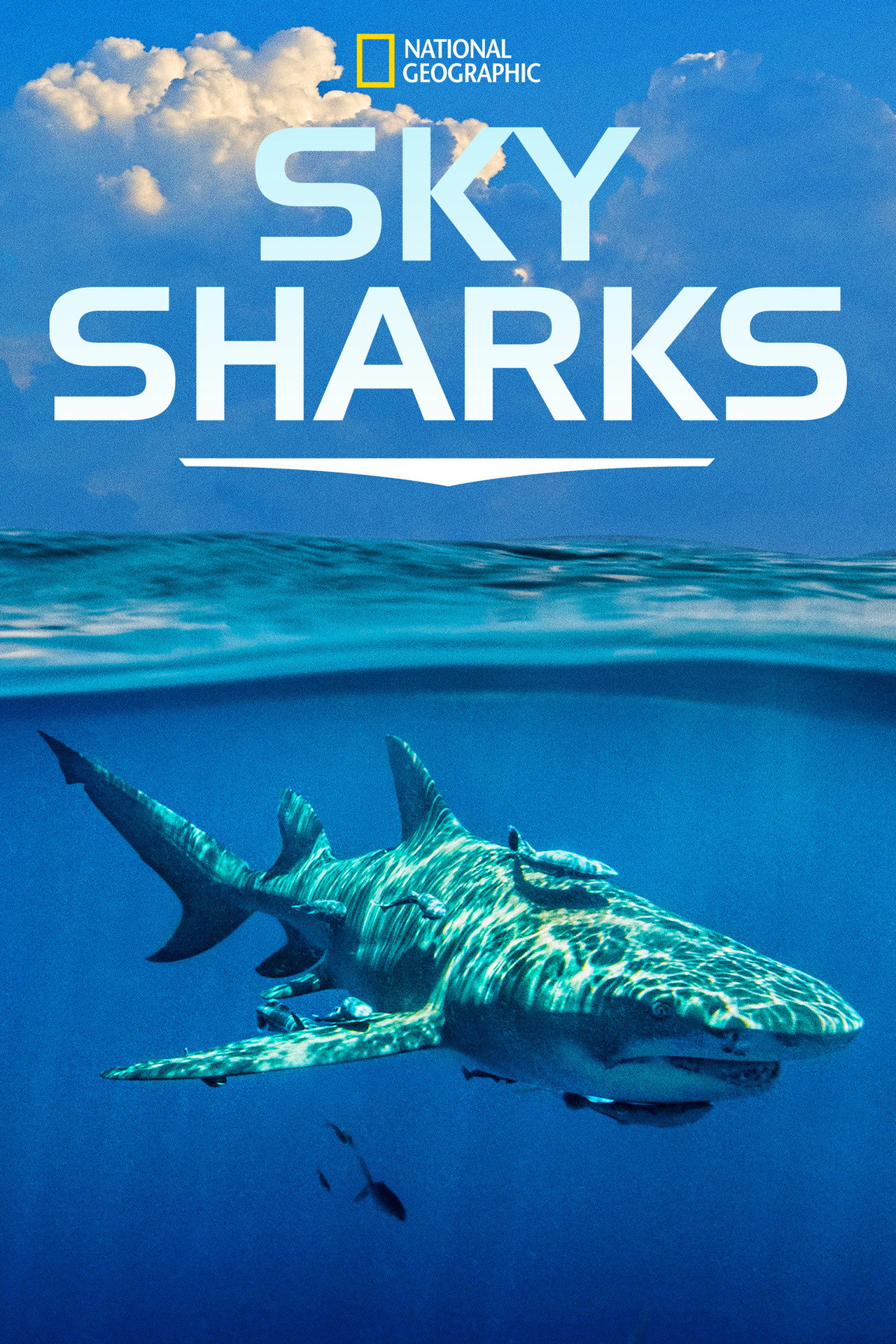 Sky Sharks filmaffisch