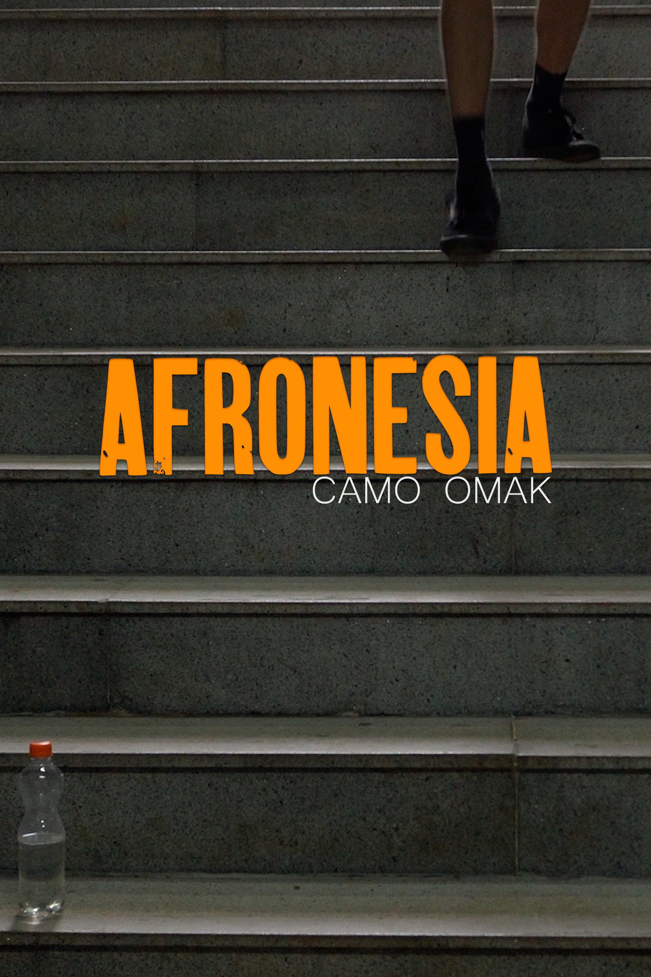 Afronesia filmaffisch