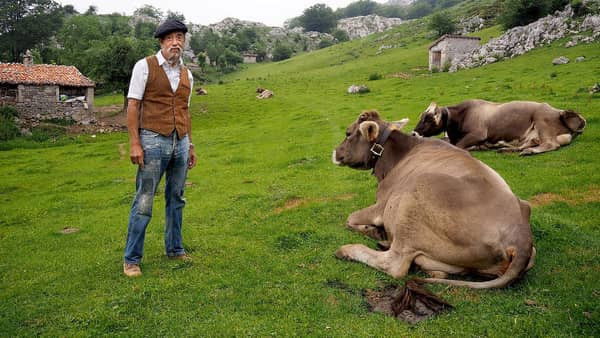 Gort over de grens - Season 4 Episode 2 : Episode 2