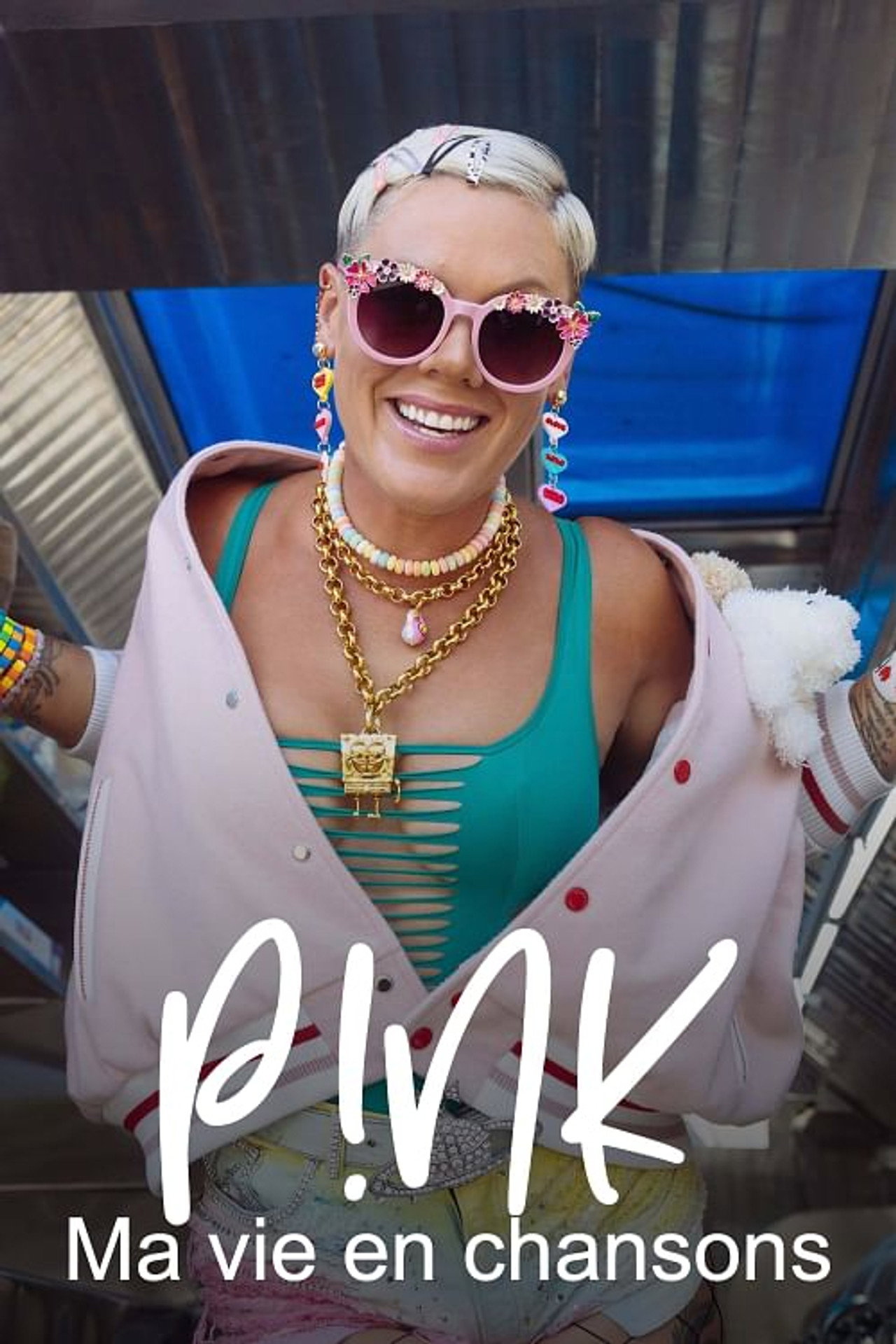 Pink, ma vie en chansons poster