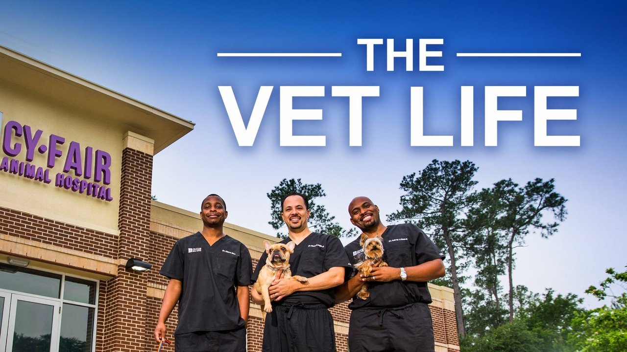 The Vet Life background