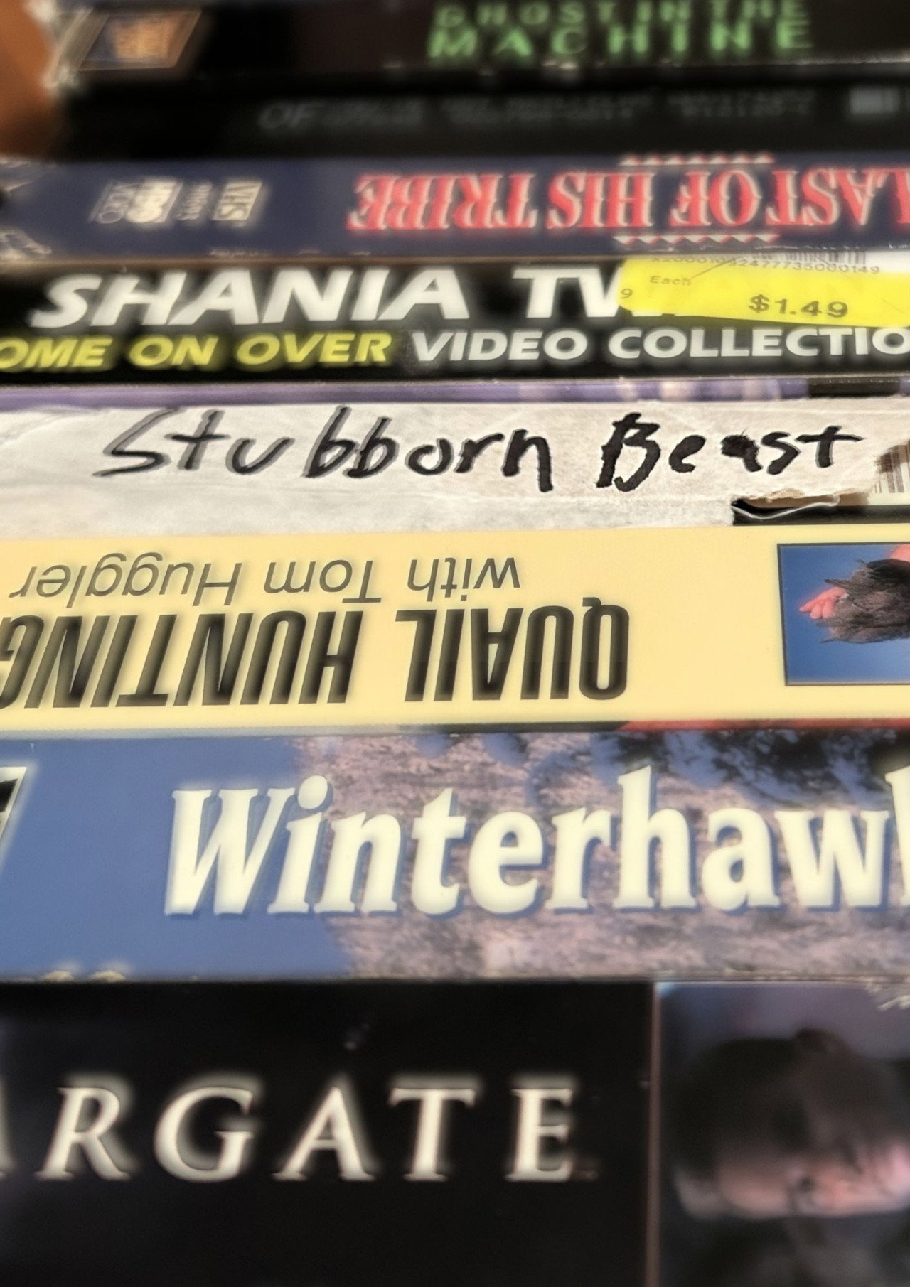 Stubborn Beast Backdrop