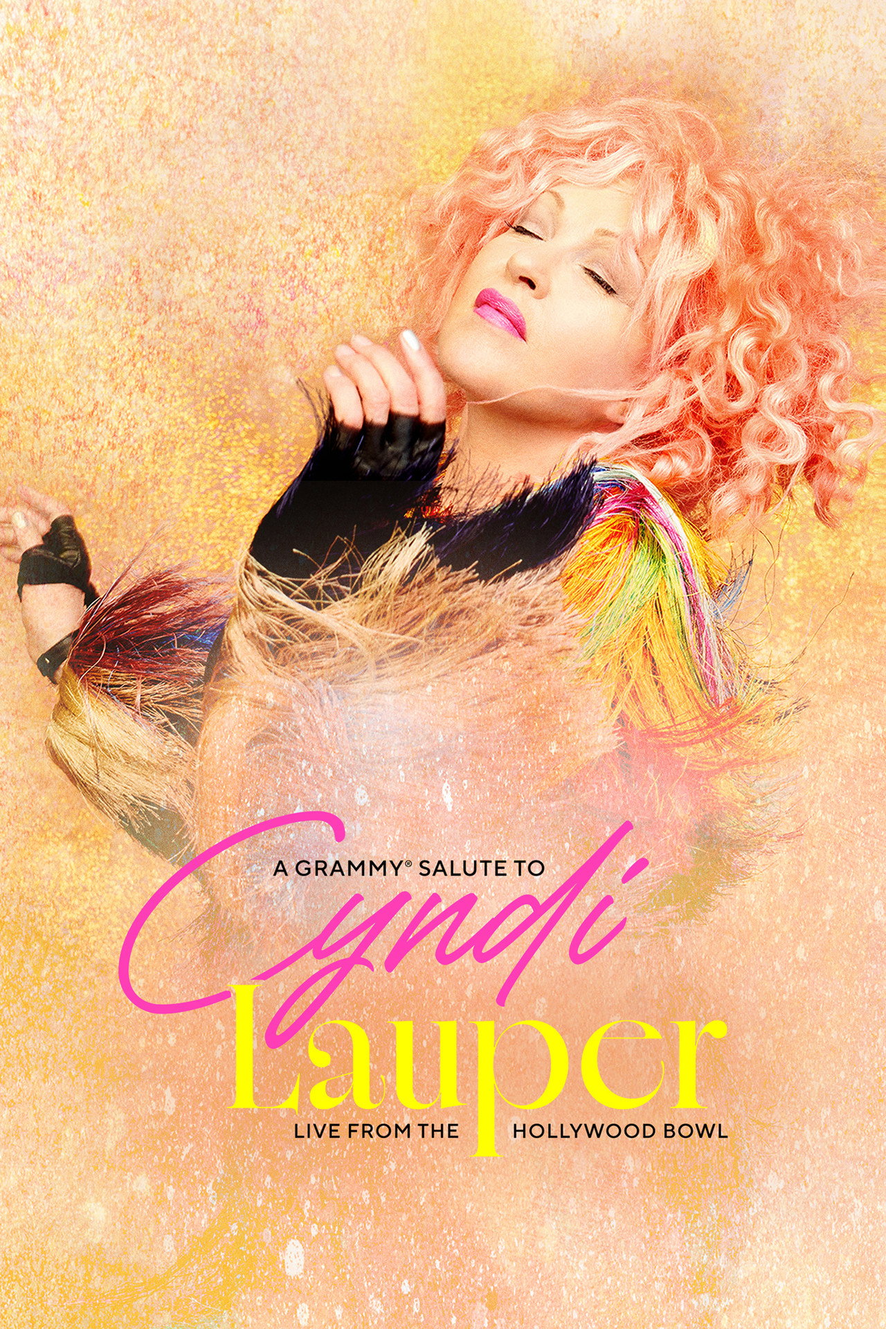 A Grammy Salute to Cyndi Lauper: Live from the Hollywood Bowl