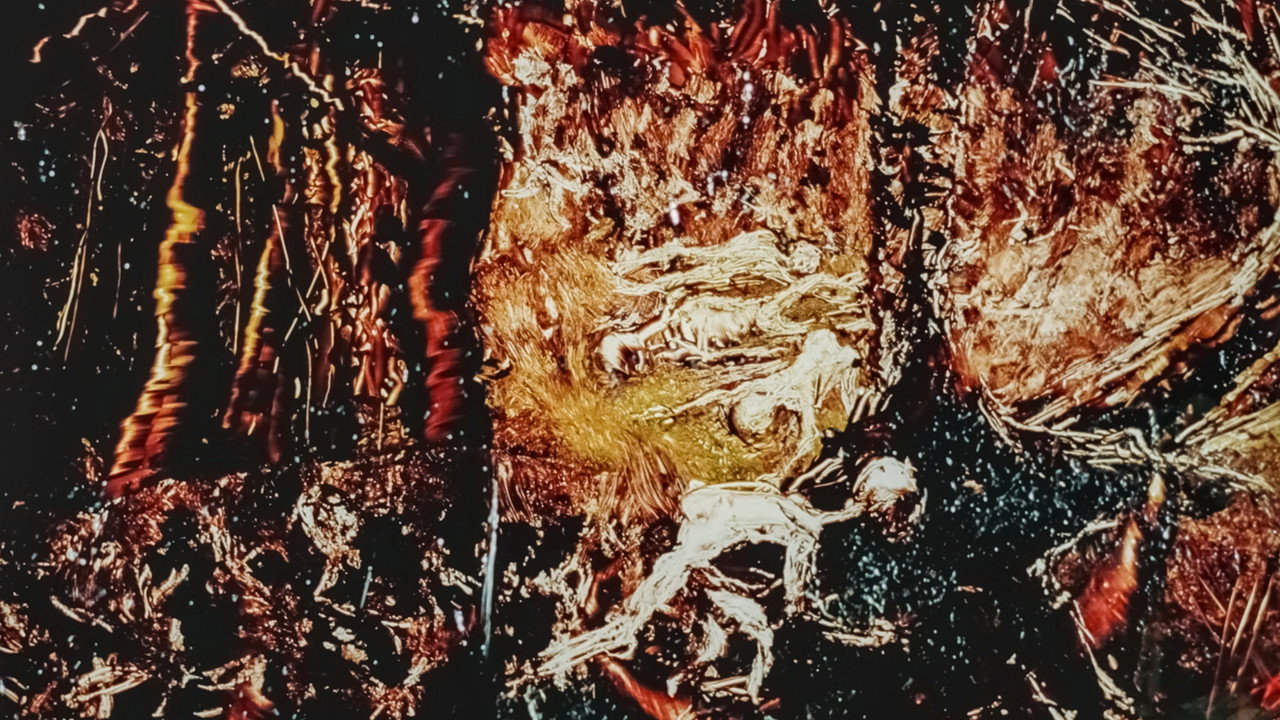 Fondo