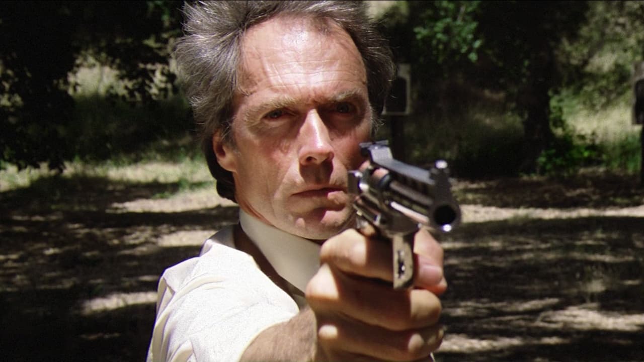 Sudden Impact (1983)