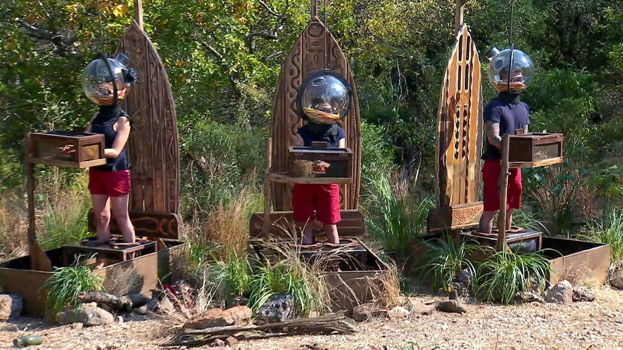 Ich bin ein Star – Showdown der Dschungel-Legenden — Épisode 17