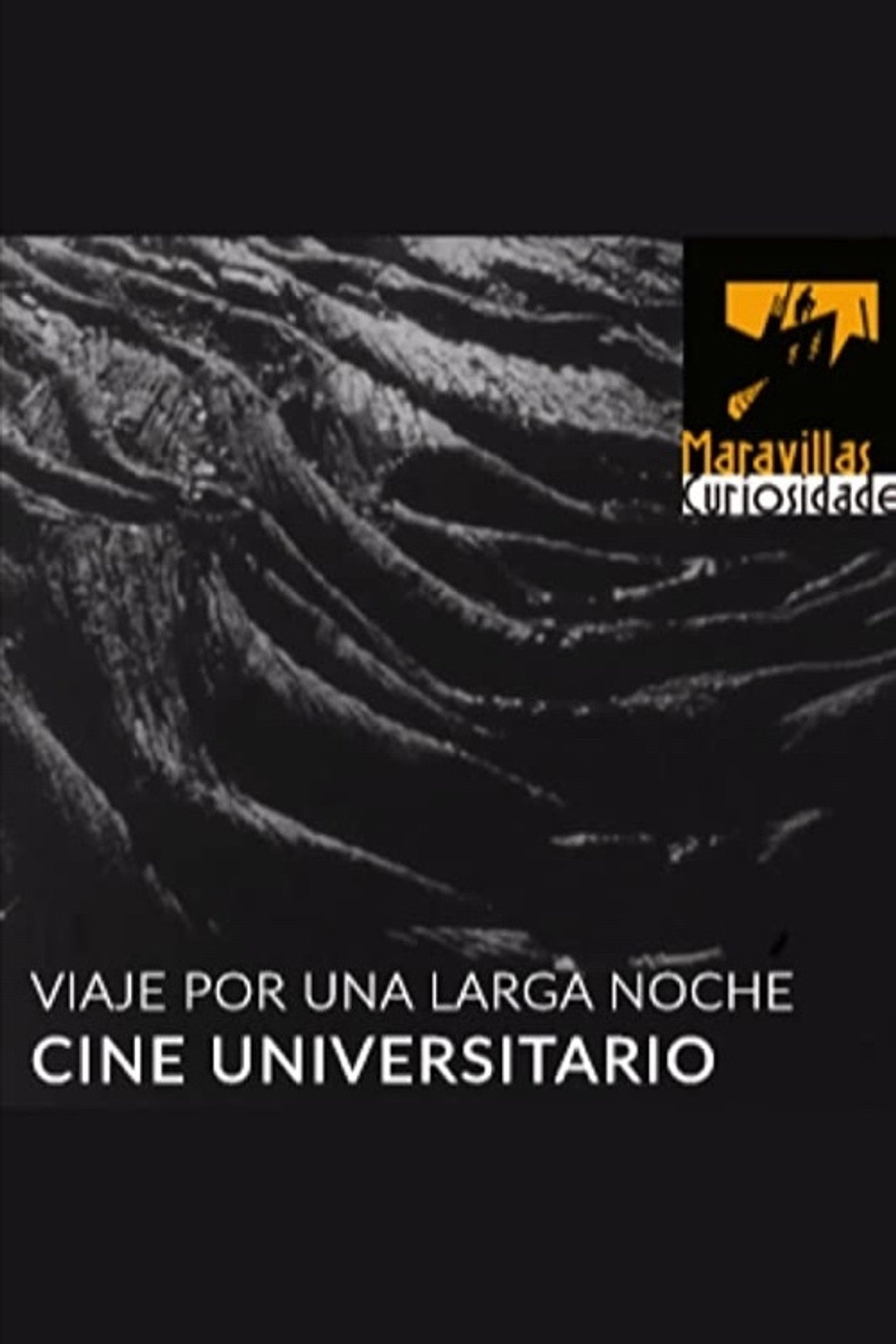 Viaje por una larga noche filmaffisch