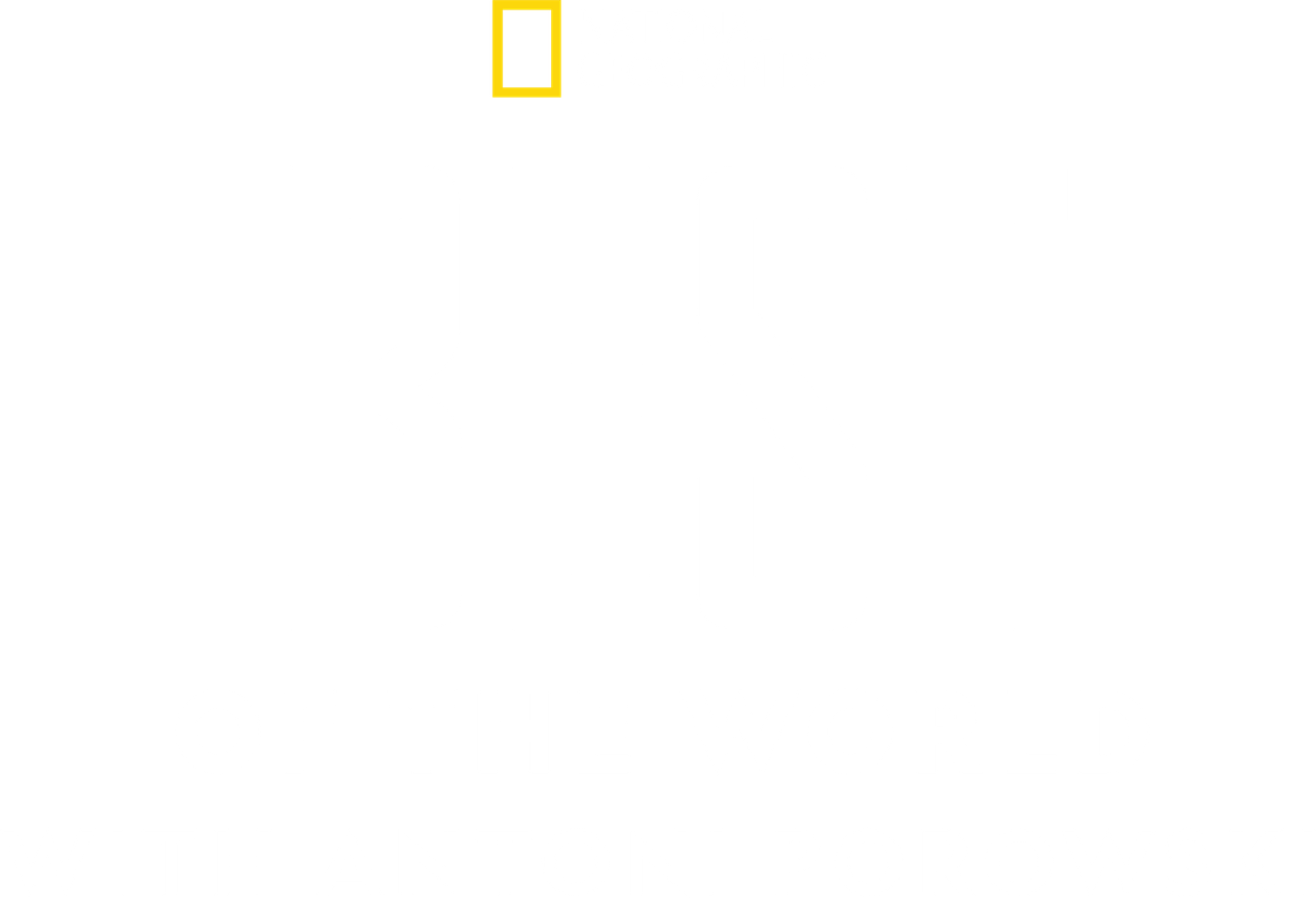 Best of the World with Antoni Porowski