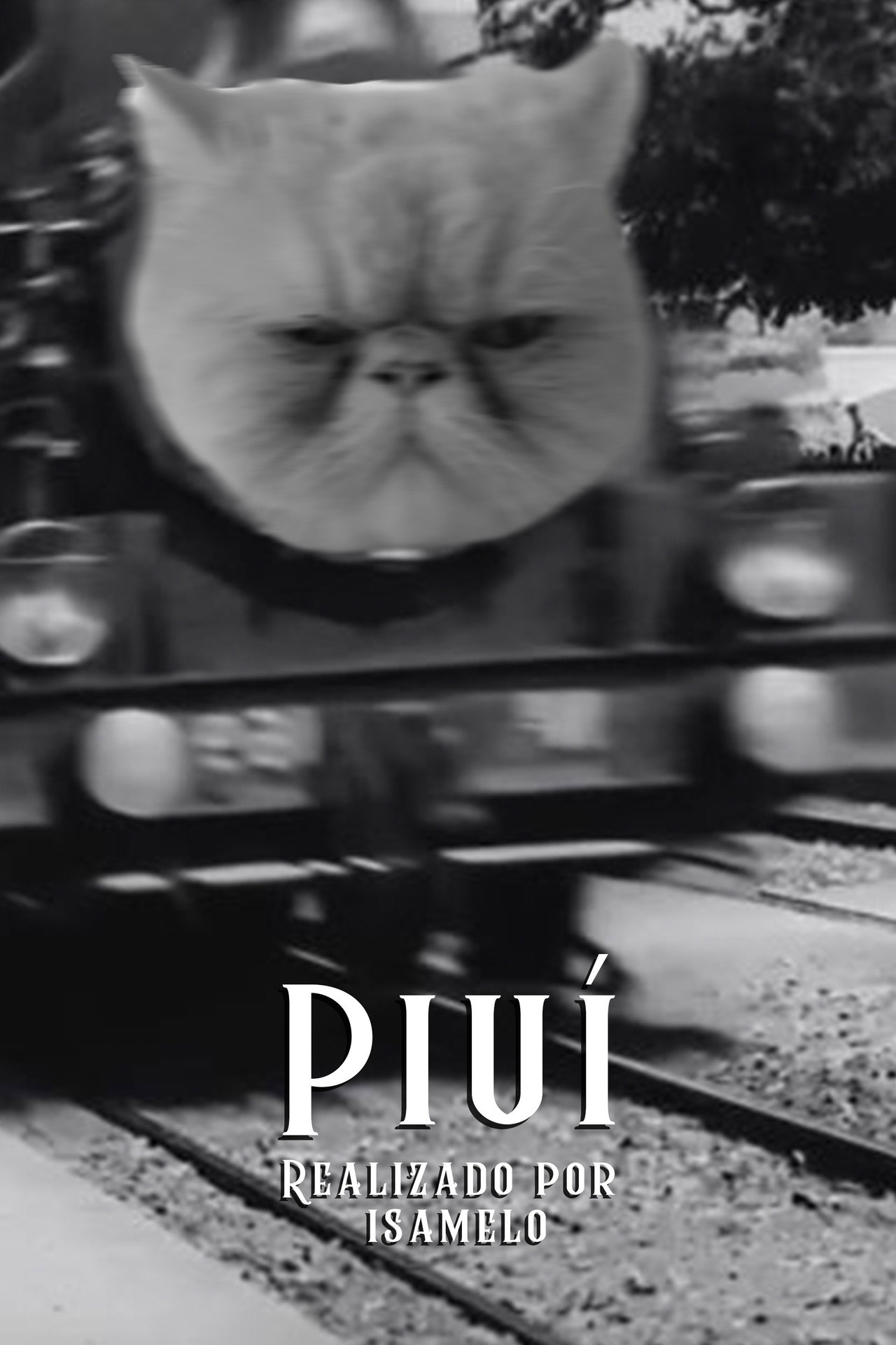Piuí filmaffisch