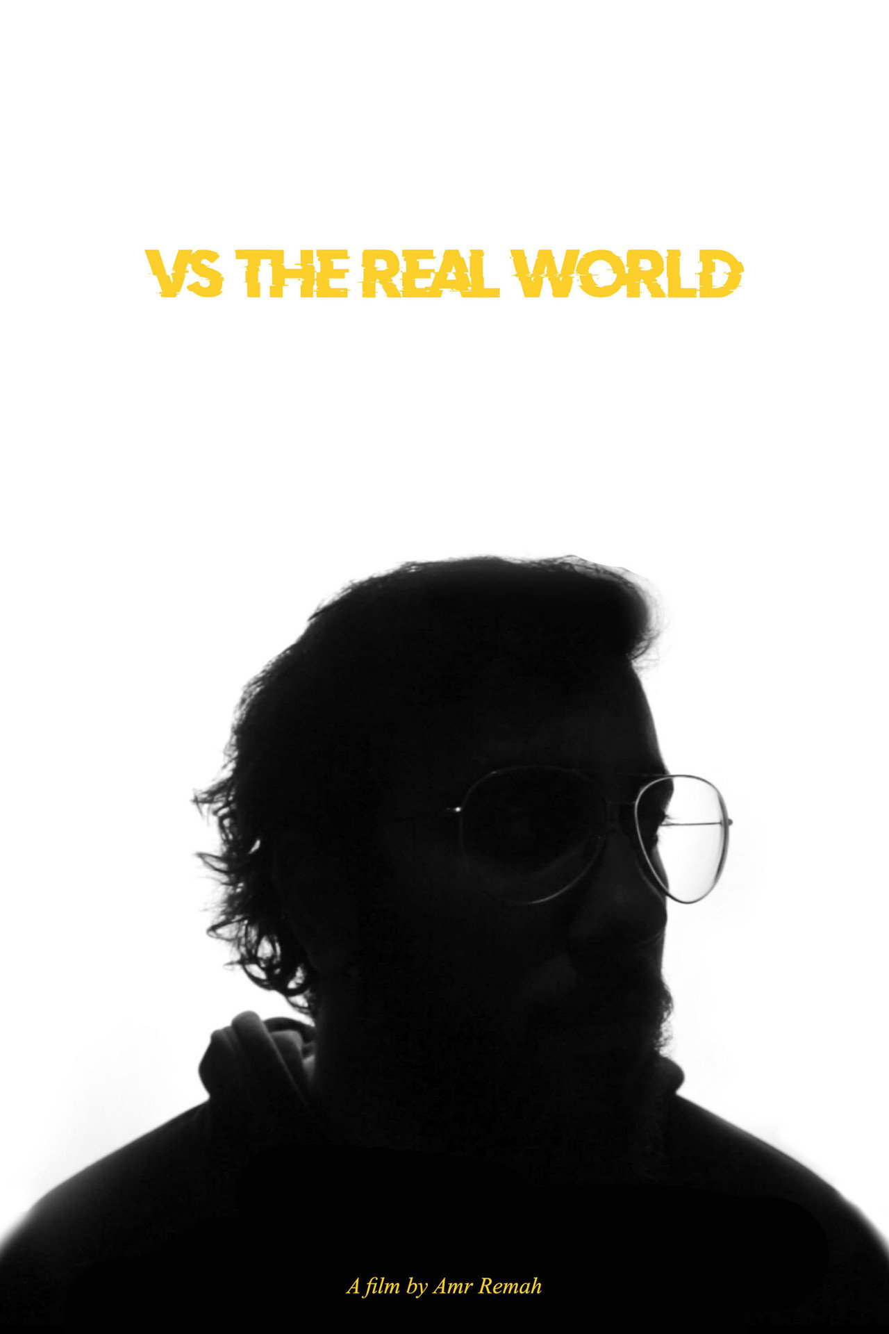 Vs the Real World poster
