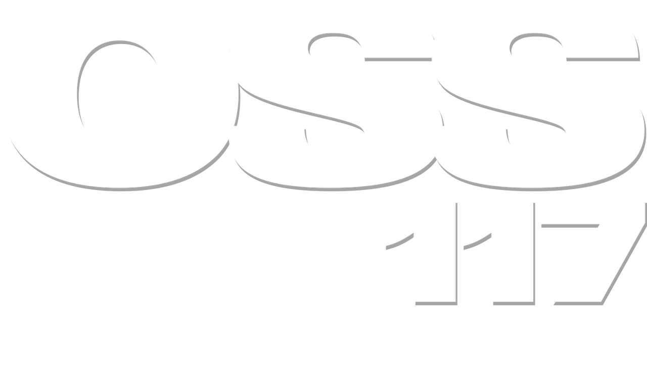OSS 117: Cairo, Nest of Spies
