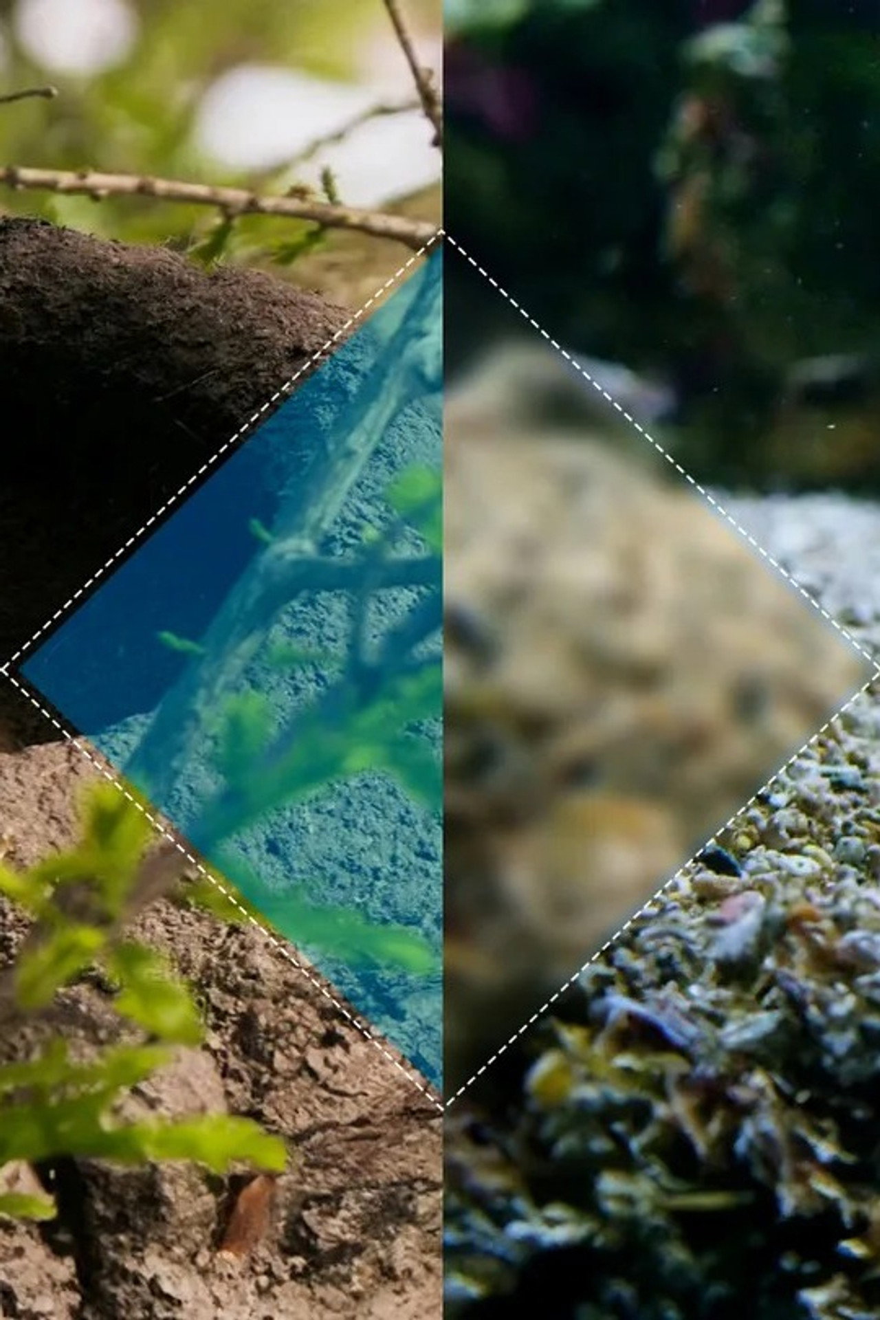 Animal Construction still 5