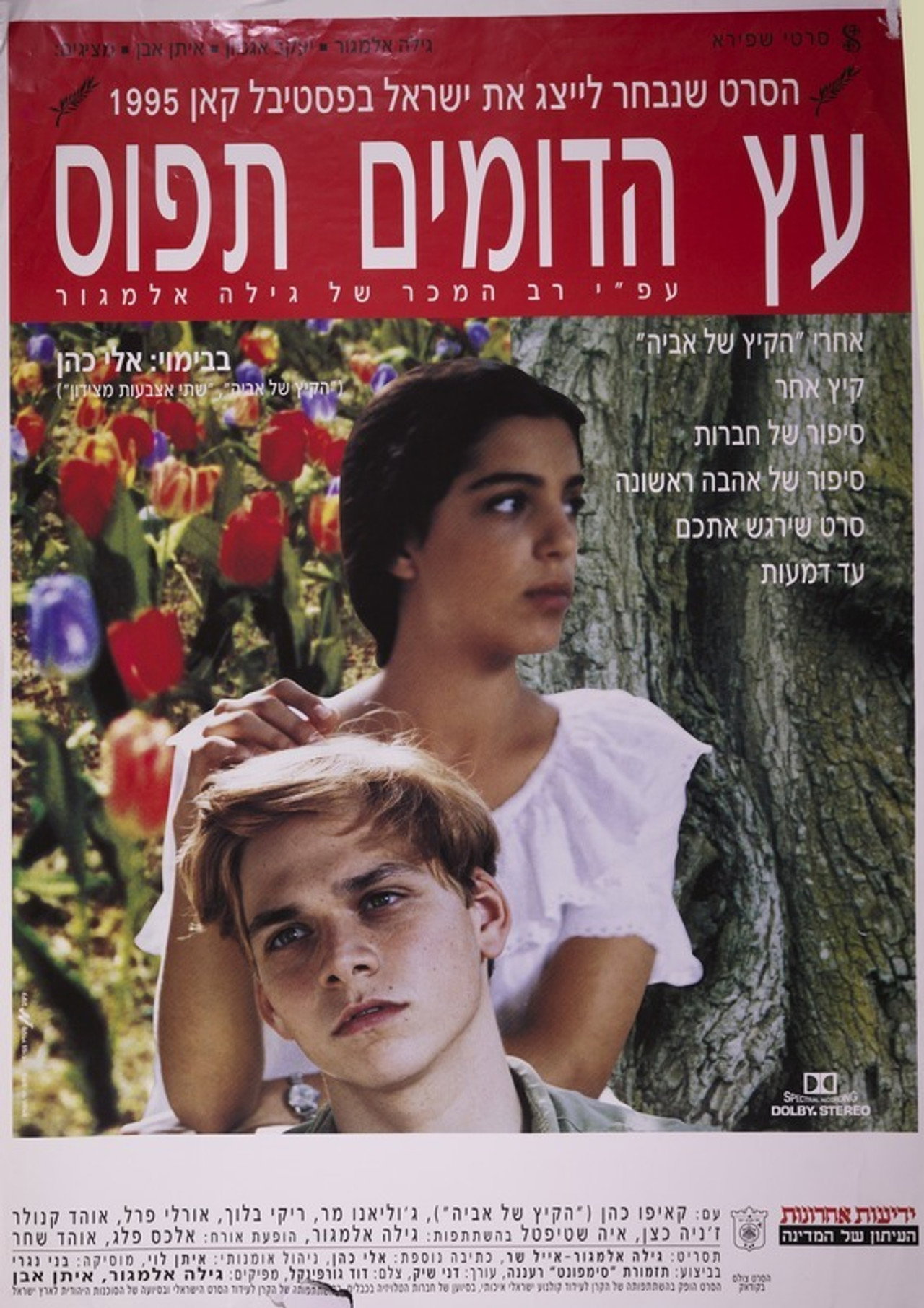 עץ הדומים תפוס filmaffisch