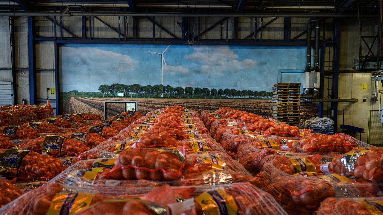 Tegenlicht — Épisode 6