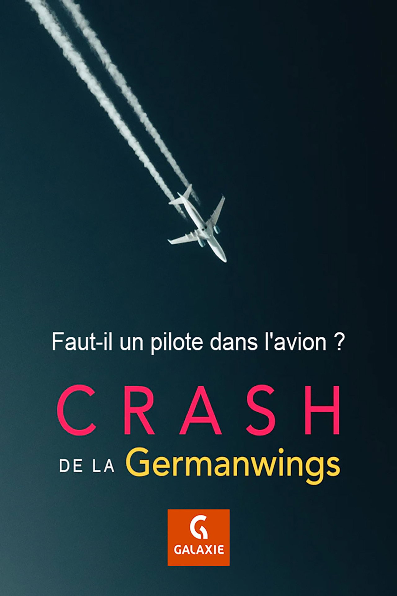Faut-il un pilote dans l'avion ? filmaffisch