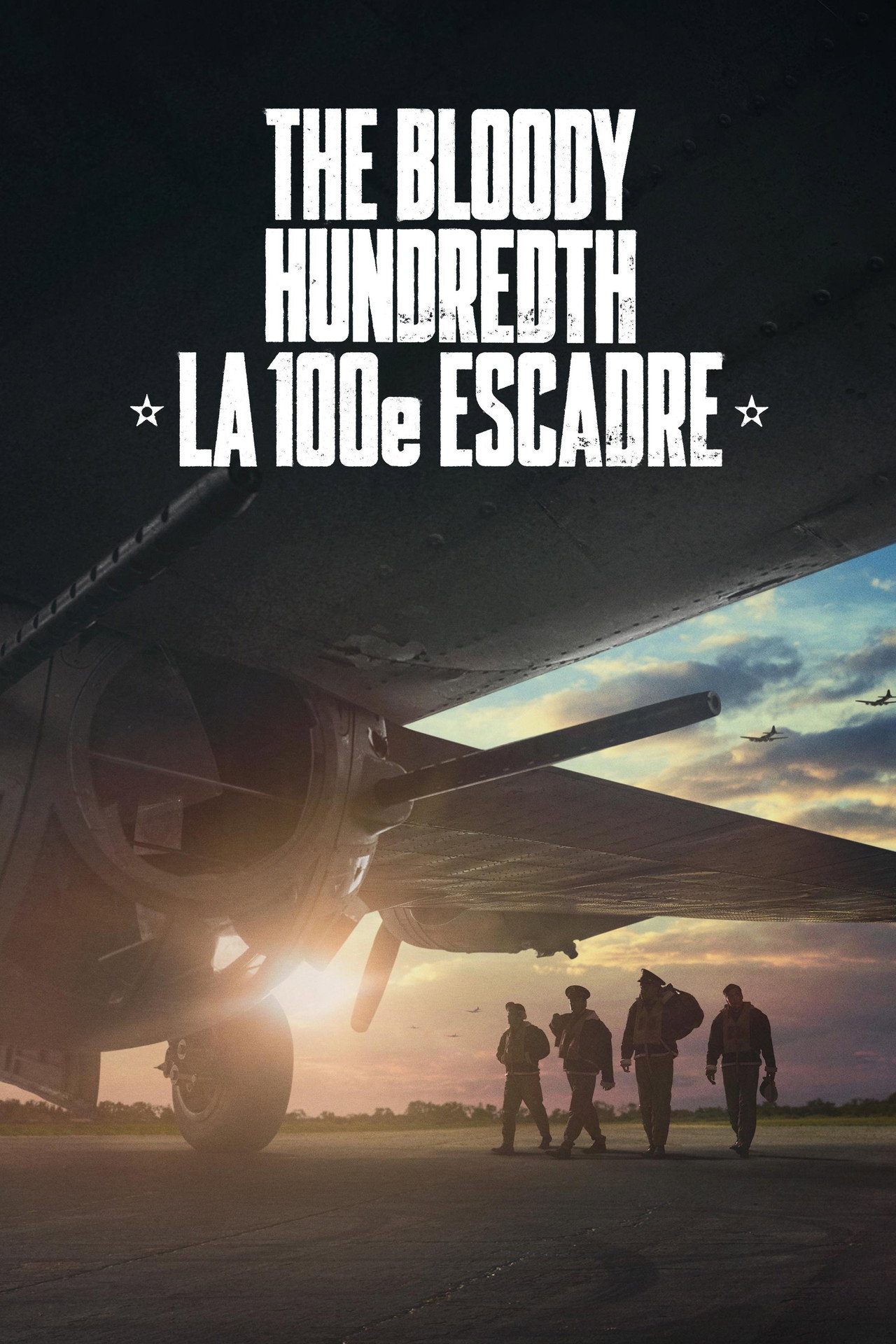 The Bloody Hundredth : la 100e escadre poster