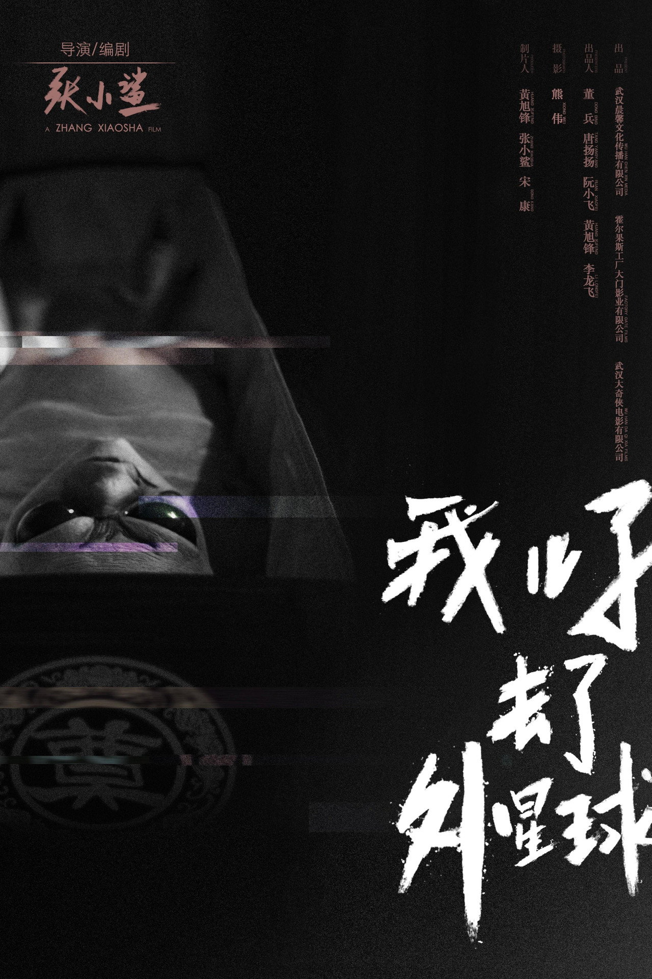 我儿子去了外星球 filmaffisch