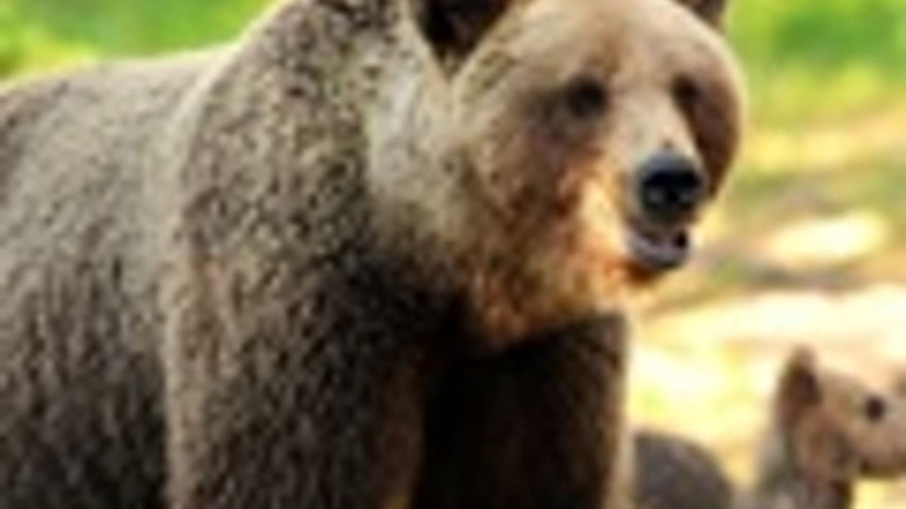 传奇故事 — Épisode 50